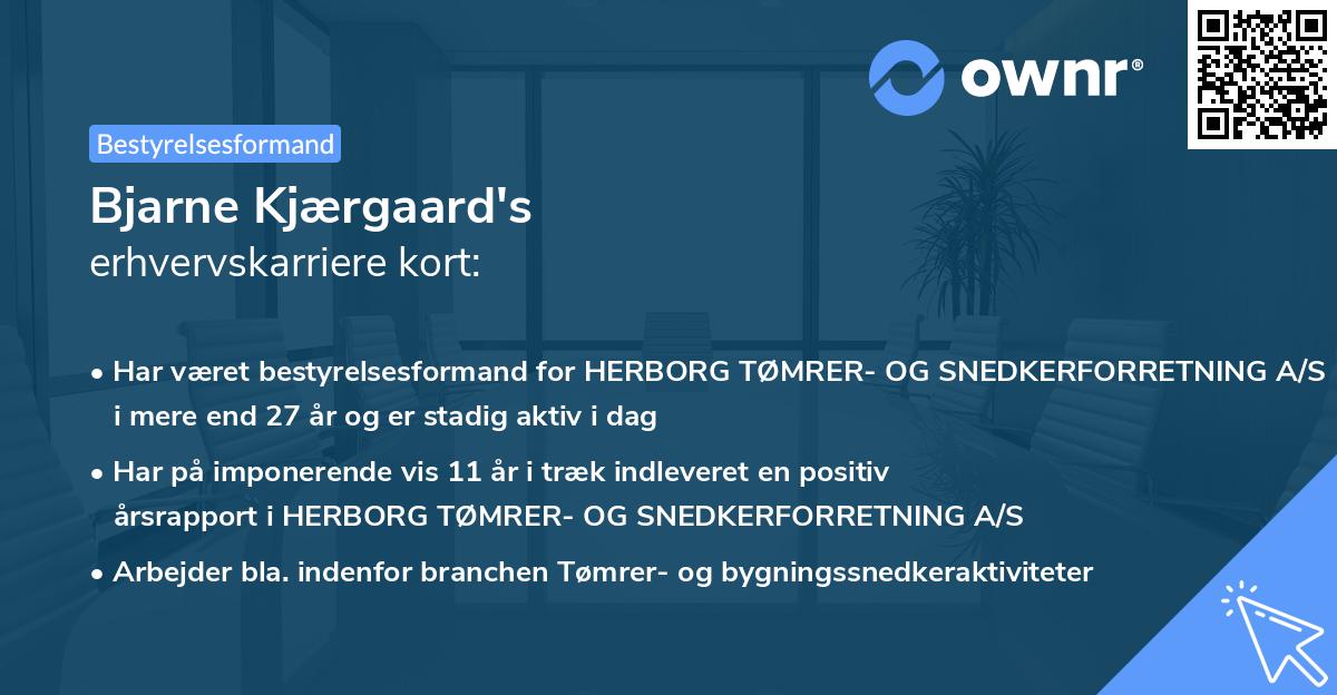 Bjarne Kjærgaard's erhvervskarriere kort