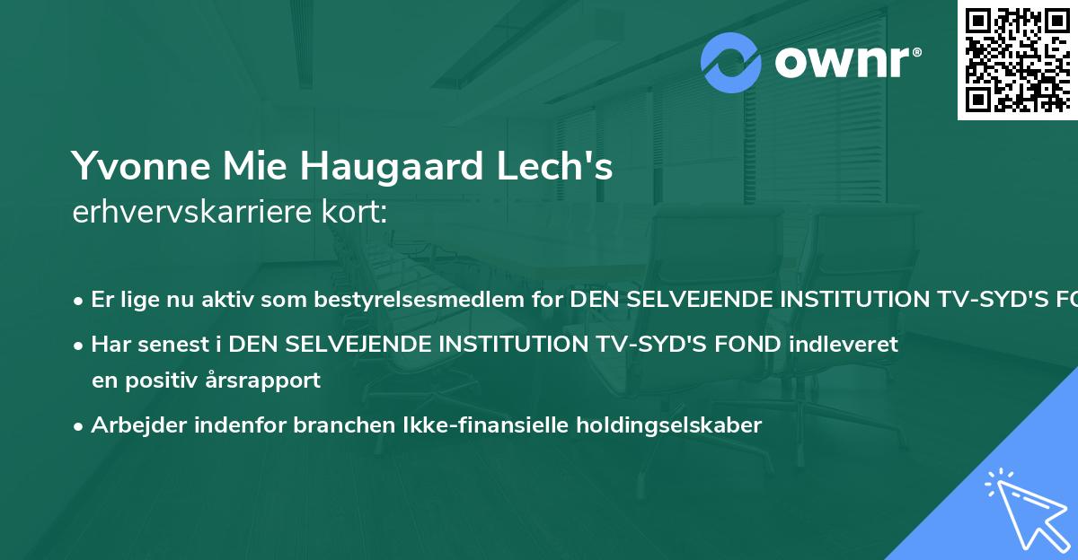 Yvonne Mie Haugaard Lech's erhvervskarriere kort