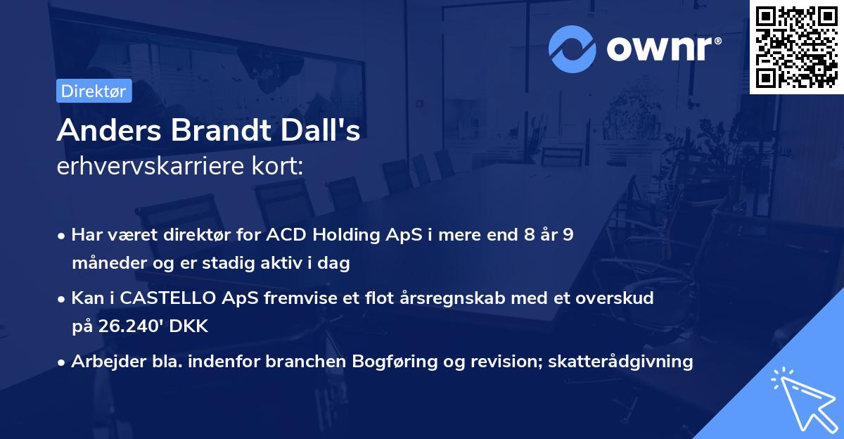 Anders Brandt Dall's erhvervskarriere kort