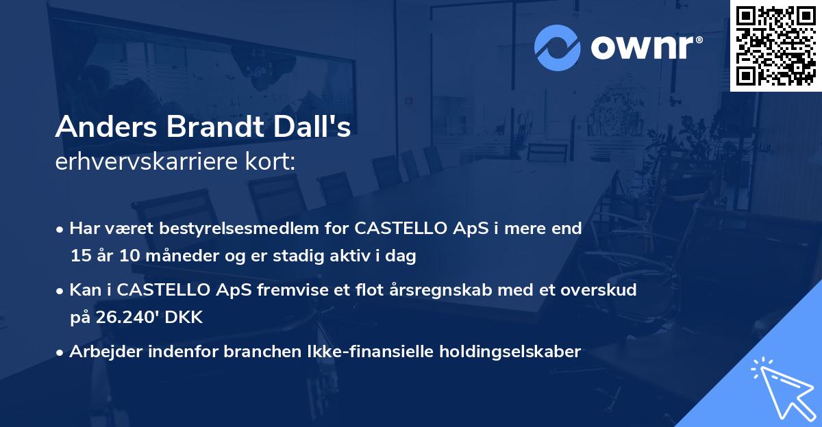 Anders Brandt Dall's erhvervskarriere kort