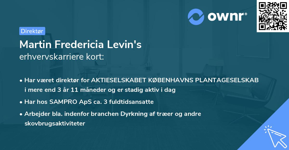 Martin Fredericia Levin's erhvervskarriere kort
