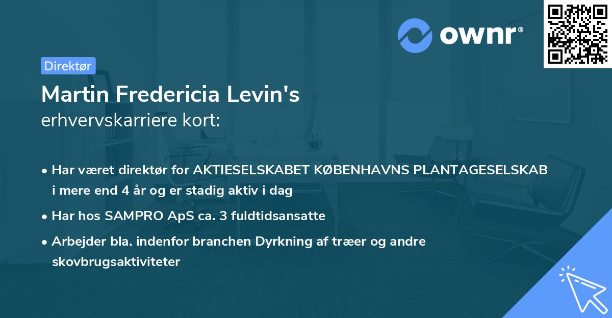 Martin Fredericia Levin's erhvervskarriere kort