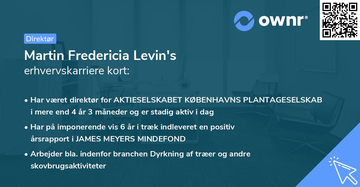 Martin Fredericia Levin's erhvervskarriere kort