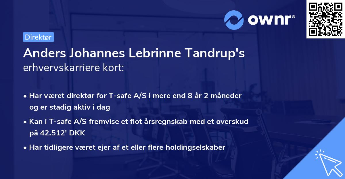 Anders Johannes Lebrinne Tandrup's erhvervskarriere kort