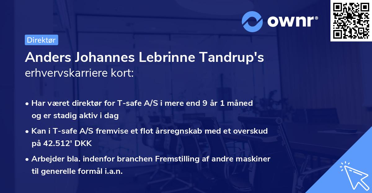 Anders Johannes Lebrinne Tandrup's erhvervskarriere kort