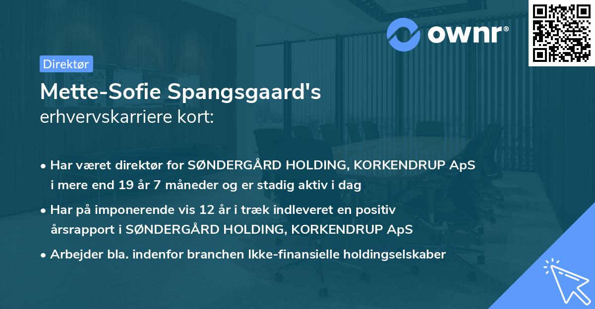 Mette-Sofie Spangsgaard's erhvervskarriere kort