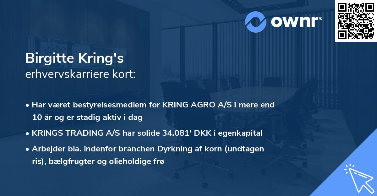 Birgitte Kring's erhvervskarriere kort