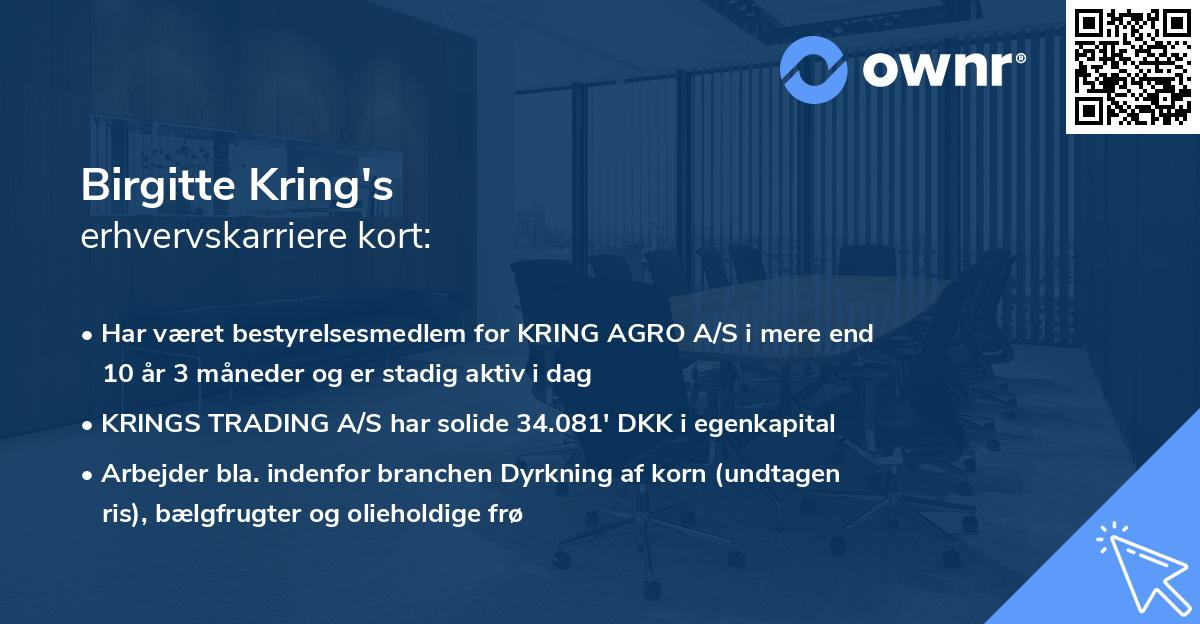 Birgitte Kring's erhvervskarriere kort