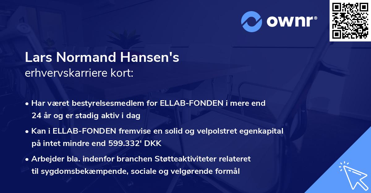 Lars Normand Hansen's erhvervskarriere kort