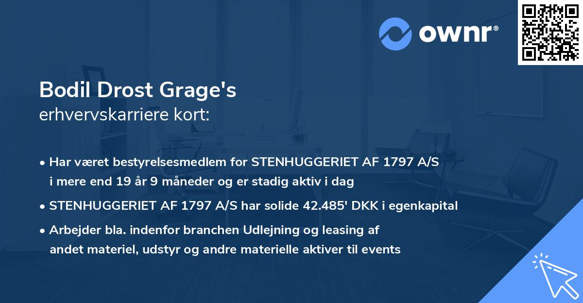 Bodil Drost Grage's erhvervskarriere kort