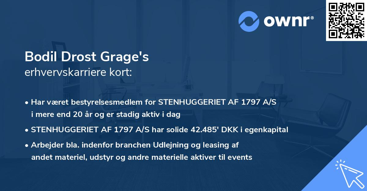 Bodil Drost Grage's erhvervskarriere kort