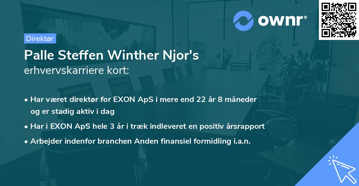 Palle Steffen Winther Njor's erhvervskarriere kort