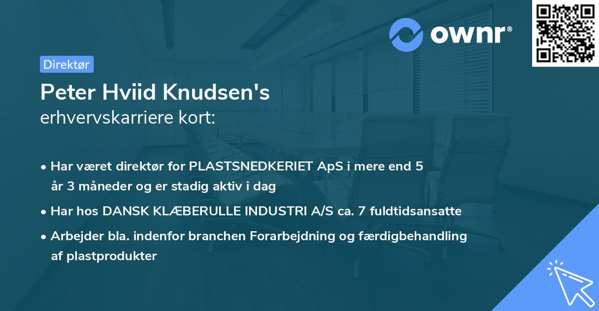 Peter Hviid Knudsen's erhvervskarriere kort