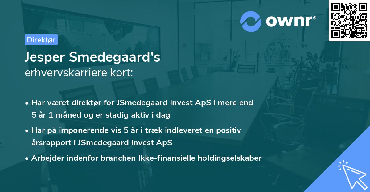 Jesper Smedegaard's erhvervskarriere kort