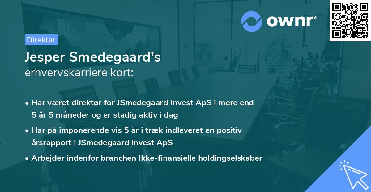 Jesper Smedegaard's erhvervskarriere kort