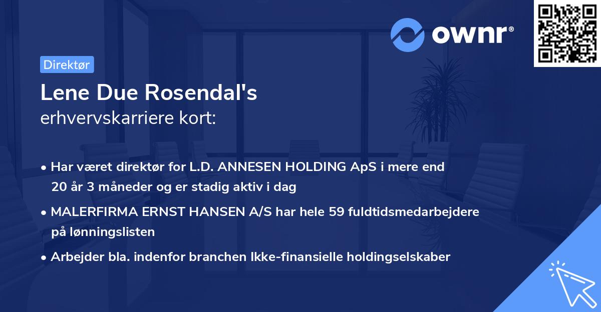 Lene Due Rosendal's erhvervskarriere kort