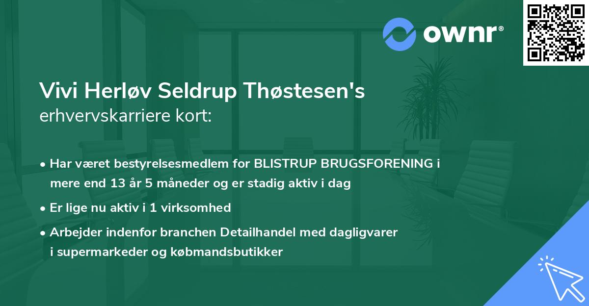 Vivi Herløv Seldrup Thøstesen's erhvervskarriere kort
