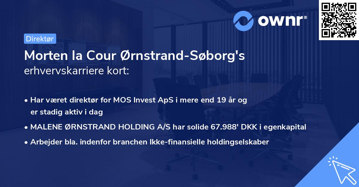 Morten la Cour Ørnstrand-Søborg's erhvervskarriere kort
