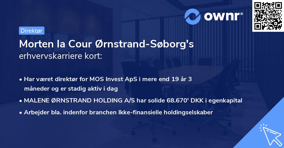 Morten la Cour Ørnstrand-Søborg's erhvervskarriere kort