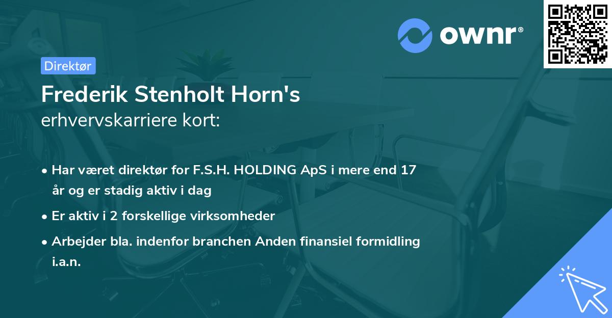 Frederik Stenholt Horn's erhvervskarriere kort