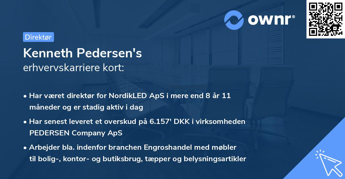 Kenneth Pedersen's erhvervskarriere kort