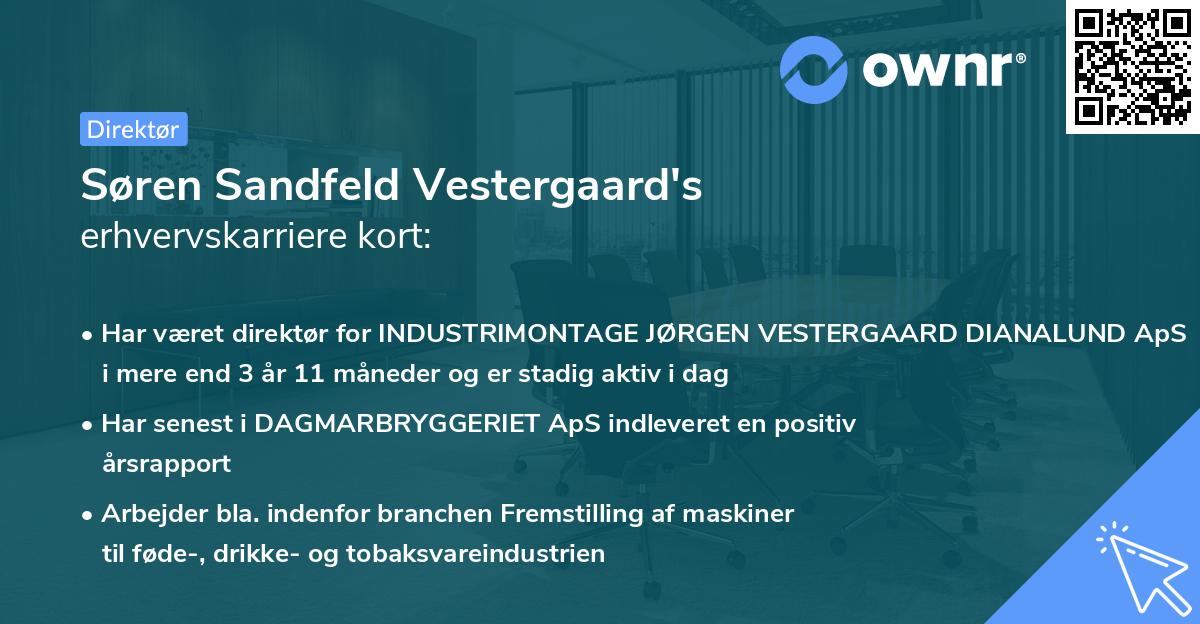 Søren Sandfeld Vestergaard's erhvervskarriere kort