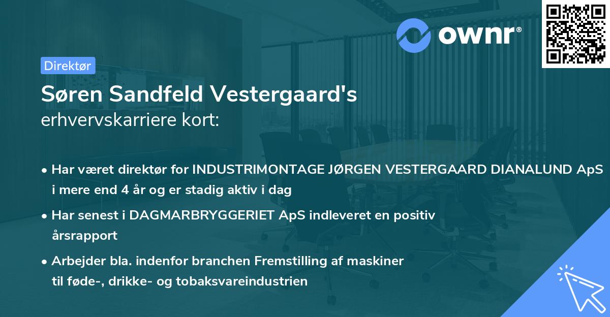 Søren Sandfeld Vestergaard's erhvervskarriere kort