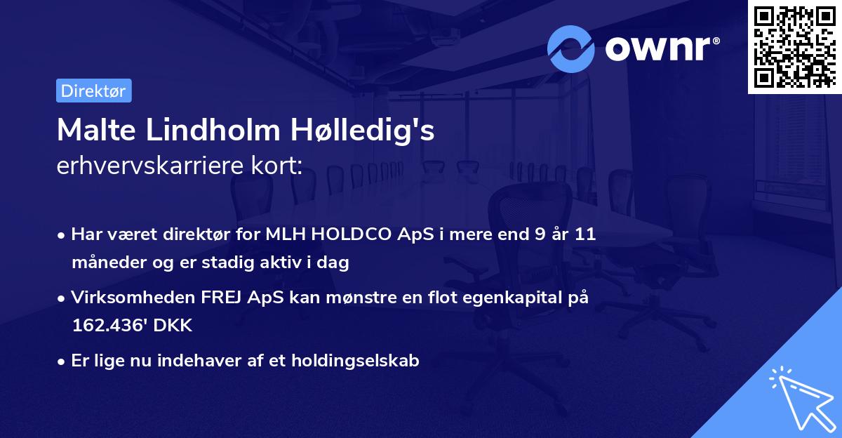 Malte Lindholm Hølledig's erhvervskarriere kort