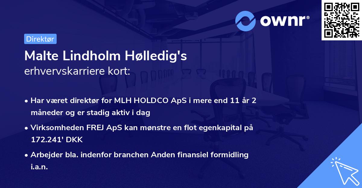 Malte Lindholm Hølledig's erhvervskarriere kort
