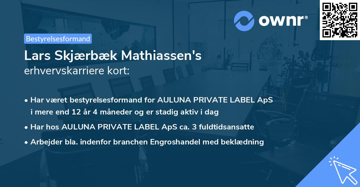 Lars Skjærbæk Mathiassen's erhvervskarriere kort