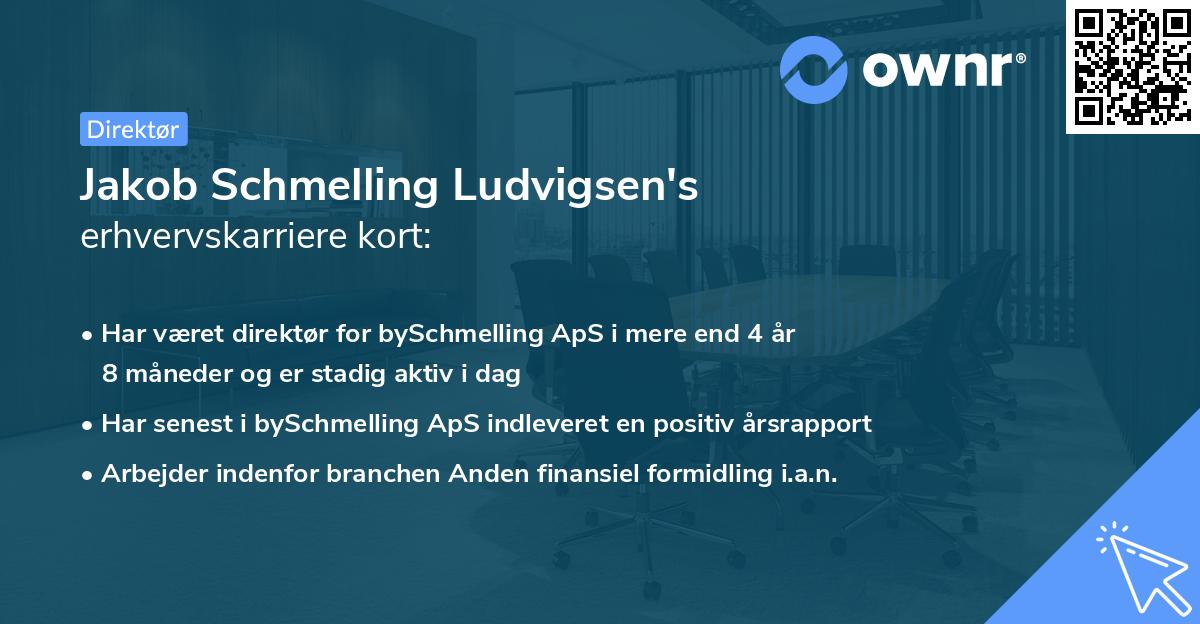 Jakob Schmelling Ludvigsen's erhvervskarriere kort