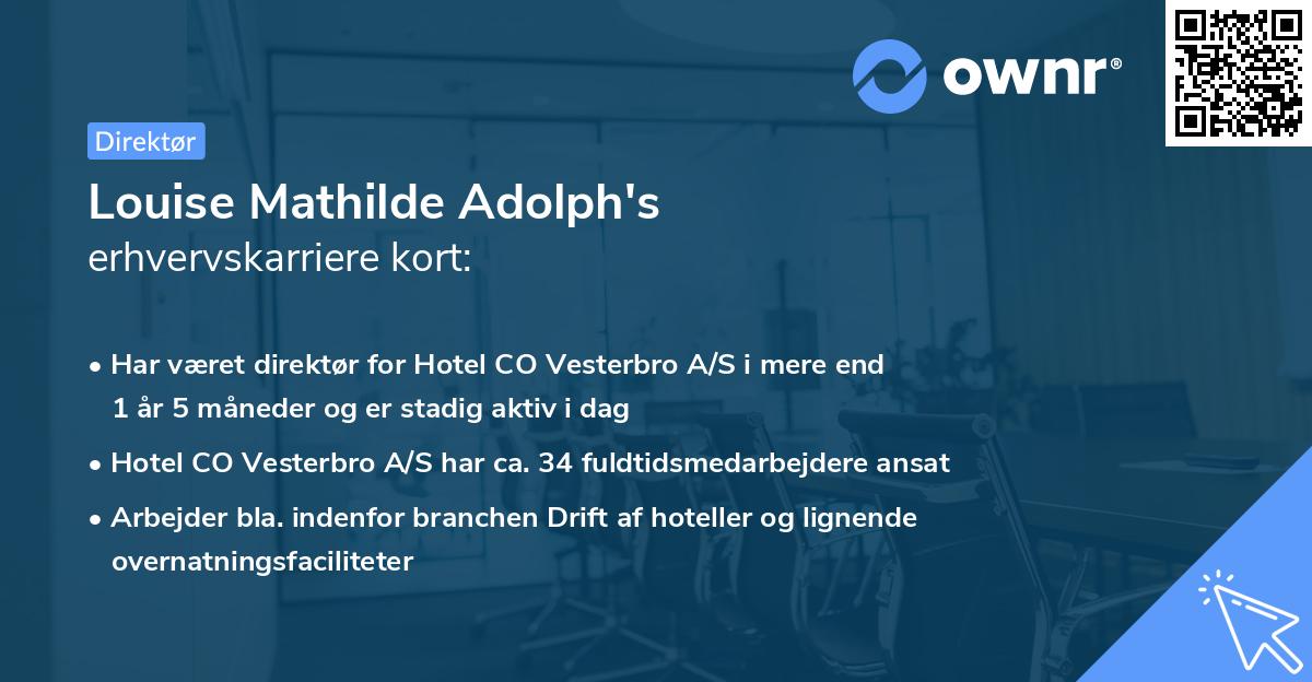 Louise Mathilde Adolph's erhvervskarriere kort