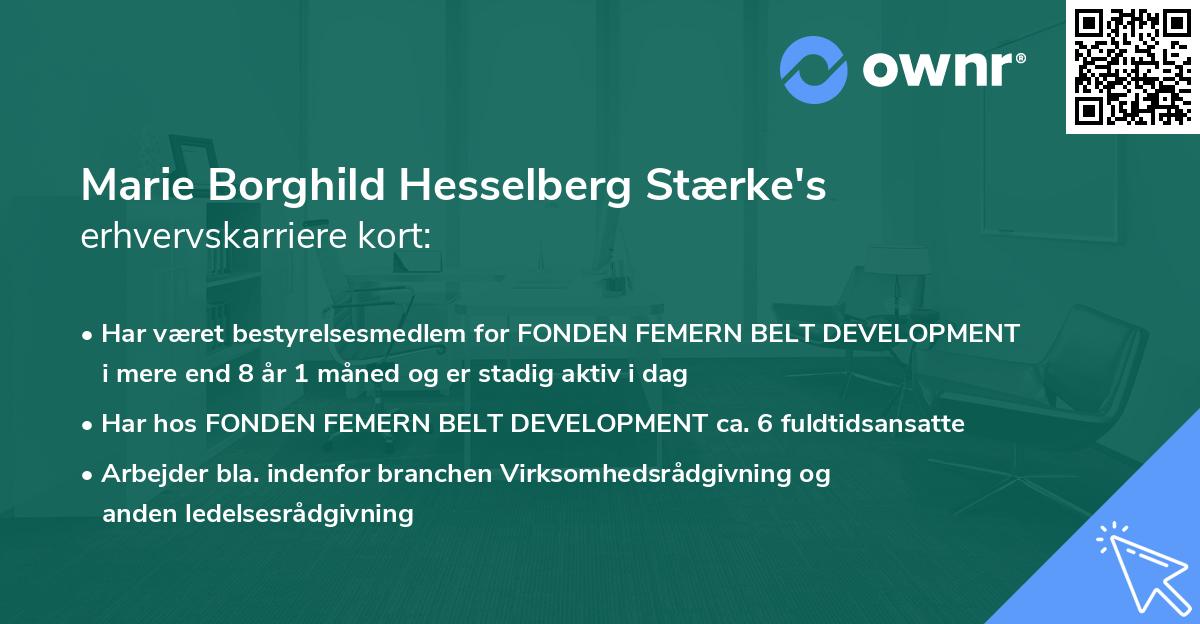 Marie Borghild Hesselberg Stærke's erhvervskarriere kort