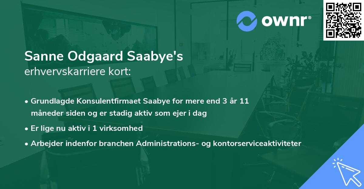 Sanne Odgaard Saabye's erhvervskarriere kort