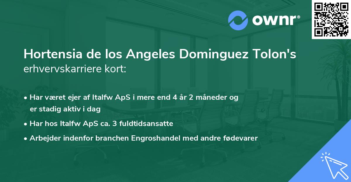 Hortensia de los Angeles Dominguez Tolon's erhvervskarriere kort