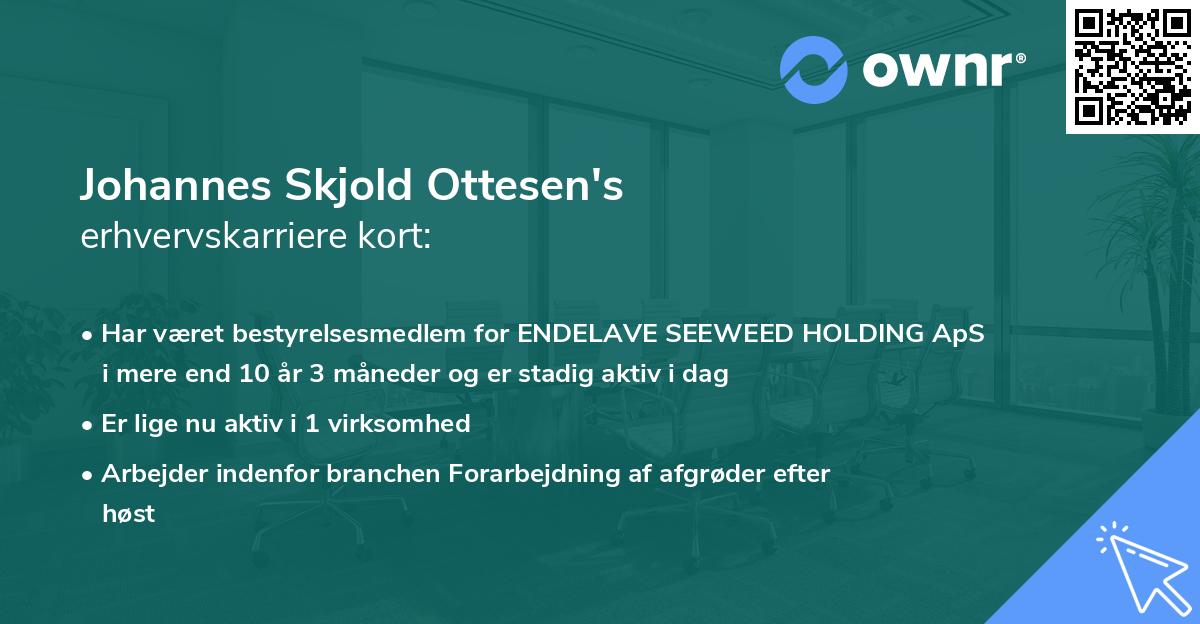 Johannes Skjold Ottesen's erhvervskarriere kort