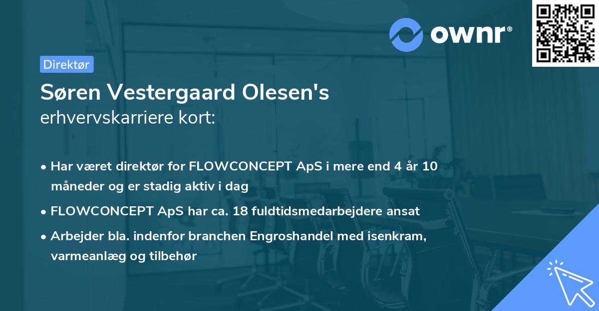 Søren Vestergaard Olesen's erhvervskarriere kort
