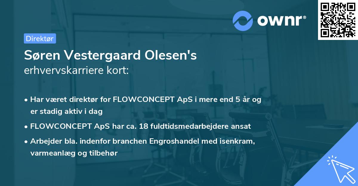 Søren Vestergaard Olesen's erhvervskarriere kort