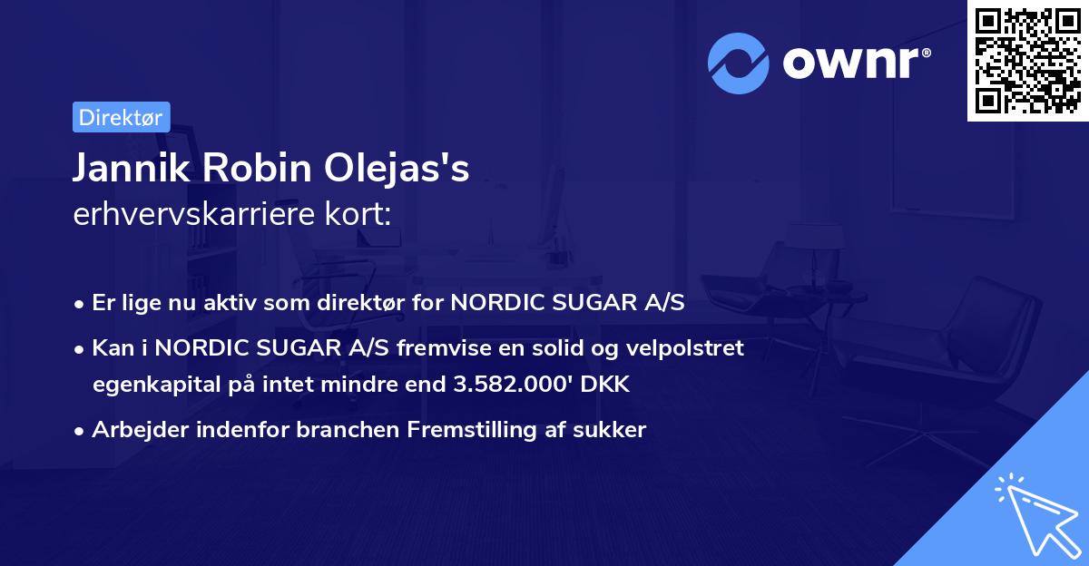 Jannik Robin Olejas's erhvervskarriere kort