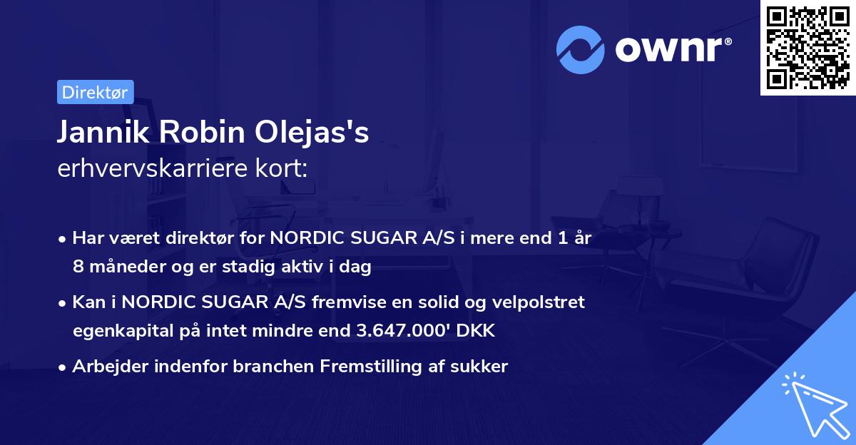 Jannik Robin Olejas's erhvervskarriere kort