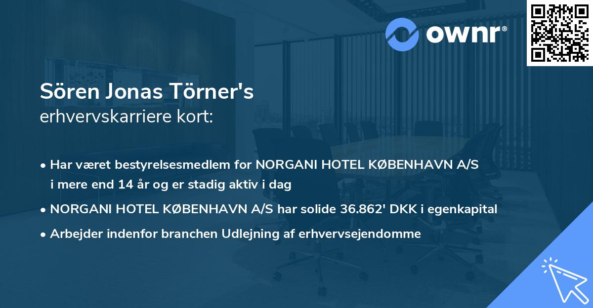 Sören Jonas Törner's erhvervskarriere kort