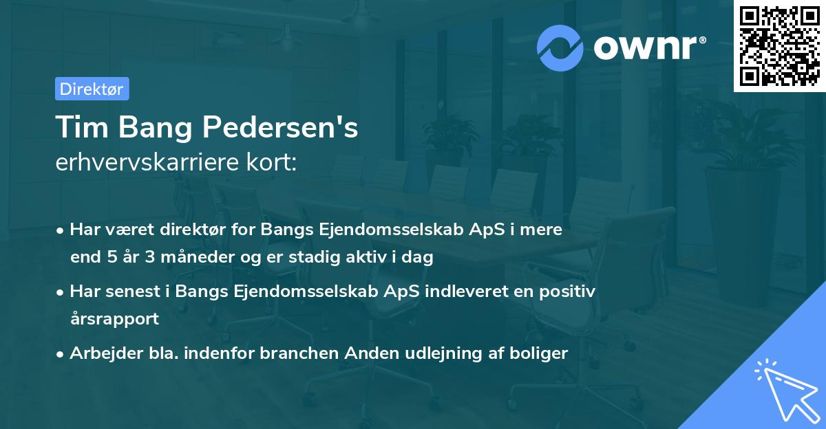 Tim Bang Pedersen's erhvervskarriere kort