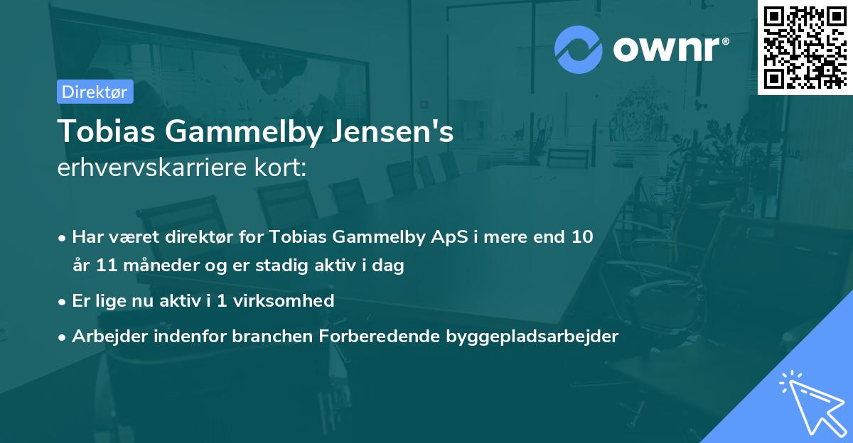 Tobias Gammelby Jensen's erhvervskarriere kort