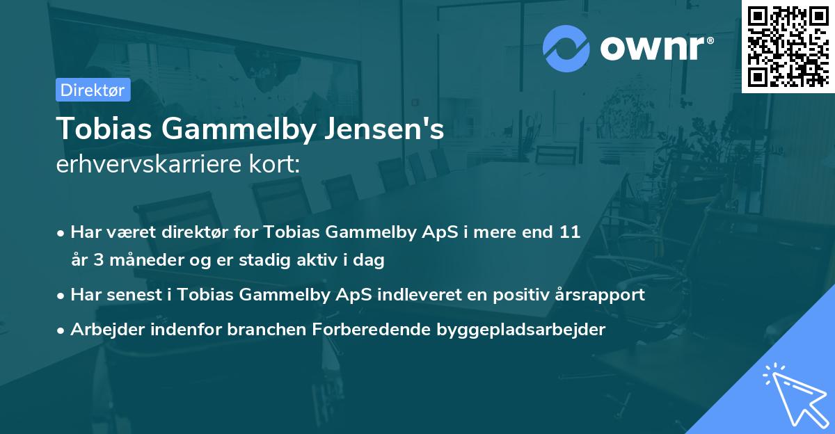 Tobias Gammelby Jensen's erhvervskarriere kort