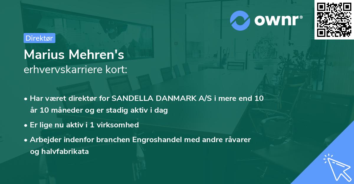 Marius Mehren's erhvervskarriere kort