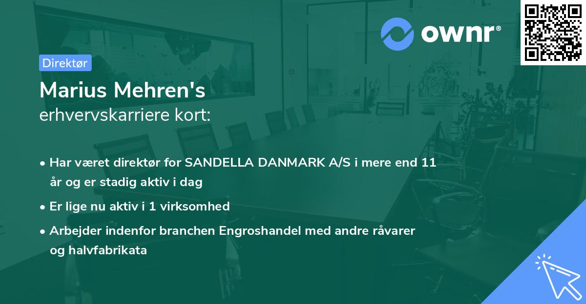 Marius Mehren's erhvervskarriere kort