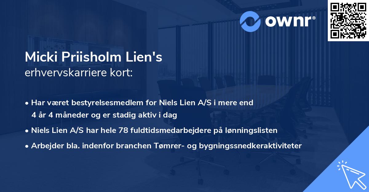 Micki Priisholm Lien's erhvervskarriere kort