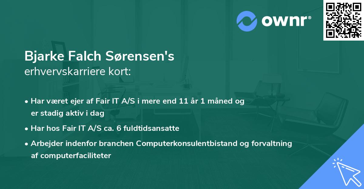 Bjarke Falch Sørensen's erhvervskarriere kort