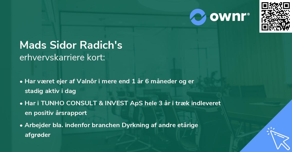 Mads Sidor Radich's erhvervskarriere kort