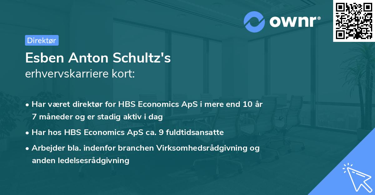 Esben Anton Schultz's erhvervskarriere kort